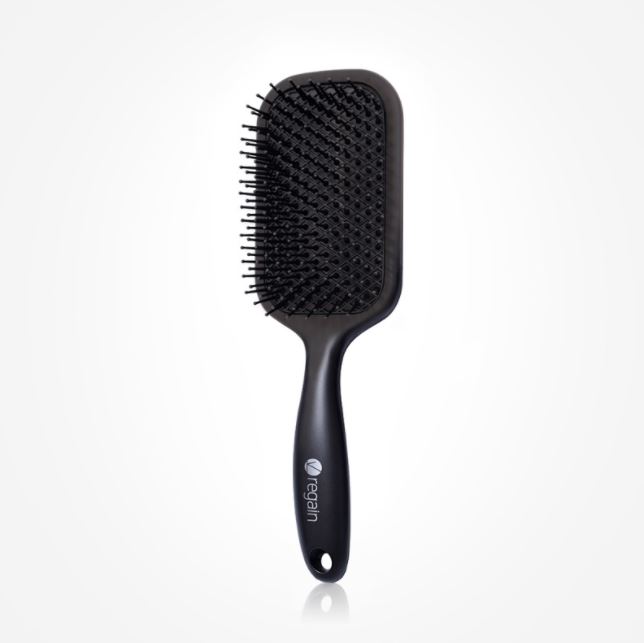 Regain Fresh Cushion Brush